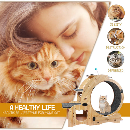 Cat Wheel 6-in-1 Cat Exercise Wheel,Upgraded Cat Wheel Exerciser for Indoor Cats,Large Cat Treadmill,Cat Running Wheel with Silent Wheel,Cat Walking Wheel Cat Furniture Cat Toys