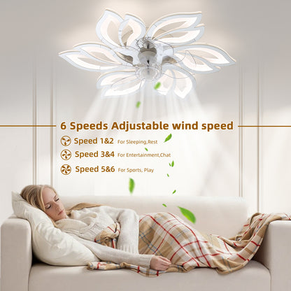 25.5In Ceiling Fan with Lights, Remote Control 3 Color Temperatures,6 Gear wind Speed Fan Light