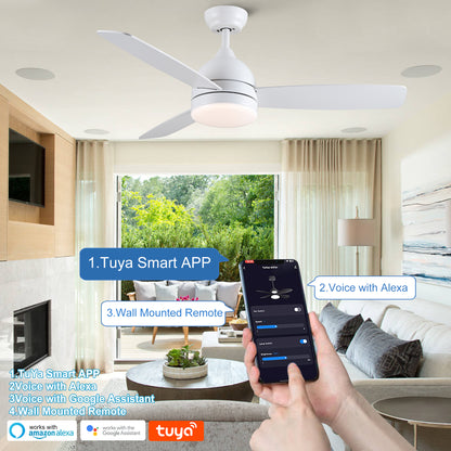 Smart 48 in. integrated LED Balck Ceiling Fan with Remote Contorl and Plywood Blades