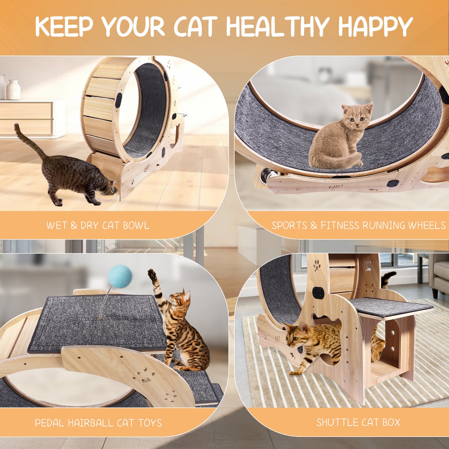 Cat Wheel 6-in-1 Cat Exercise Wheel,Upgraded Cat Wheel Exerciser for Indoor Cats,Large Cat Treadmill,Cat Running Wheel with Silent Wheel,Cat Walking Wheel Cat Furniture Cat Toys