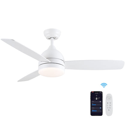 Smart 48 in. integrated LED Balck Ceiling Fan with Remote Contorl and Plywood Blades