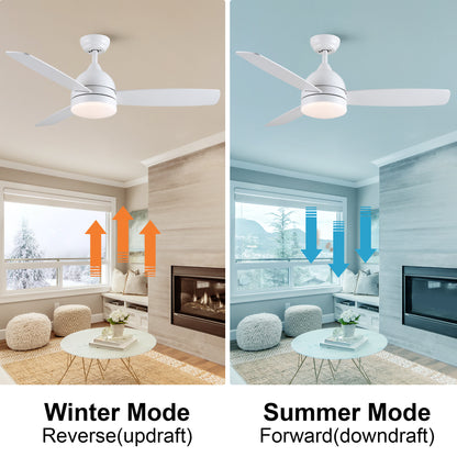 Smart 48 in. integrated LED Balck Ceiling Fan with Remote Contorl and Plywood Blades