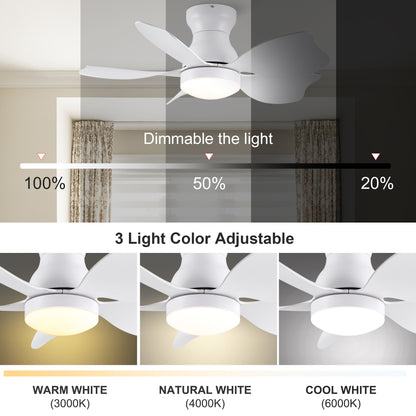 30 In Small Kid's Ceiling Fan Lighting with Remote Control for Small Children Room